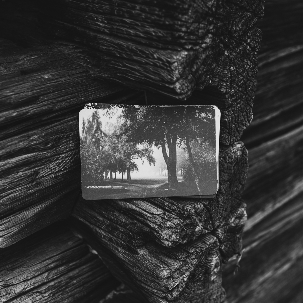 Verkkokauppa Tiitu Design 